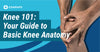Knee 101: Your Guide to Basic Knee Anatomy