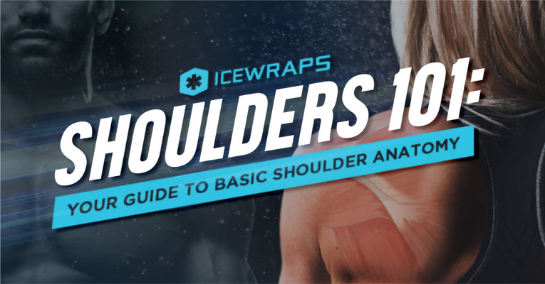 Simple Shoulder Example Shoulders 101: Your Guide to Basic Shoulder Anatomy - IceWraps